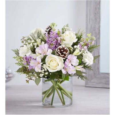 We’ve captured the peaceful beauty of winter in our lovely bouquet. A new seasonal version of our best seller, it’s loosely gathered with soothing lavender & white blooms, cascading greenery all around and pinecone accents for a rustic touch. A truly wonderful way to express your sentiments this time of year.
<ul>
 	<li>All-around arrangement with white roses and carnations; lavender Peruvian lilies (alstroemeria) and stock; accented with baby’s breath, seeded eucalyptus, pinecone picks and assorted Christmas greenery</li>
 	<li>Artistically designed a clear glass cylinder vase</li>
 	<li>Large arrangement measures approximately 15"H x 13"W</li>
 	<li>Medium arrangement measures approximately 13"H x 12"W</li>
 	<li>Small arrangement measures approximately 12"H x 9"W</li>
 	<li>Our florists select the freshest flowers available, so colors, varieties and container may vary due to local availability</li>
 	<li>To ensure lasting beauty, Peruvian lilies may arrive in bud form and will fully bloom over the next few days</li>
</ul>