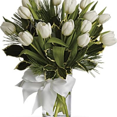 <ul id="tabs-pdp" class="nav nav-tabs" data-tabs="tabs">
 	<li id="descriptionTab" class="active"><a href="https://www.teleflora.com/bouquet/tulips-and-pine?prodID=P_T12Z114A&skuId=T12Z114A&zipMin=&showAllSkus=true#description" data-toggle="tab">DESCRIPTION</a></li>
 	<li id="sizesTab"><a href="https://www.teleflora.com/bouquet/tulips-and-pine?prodID=P_T12Z114A&skuId=T12Z114A&zipMin=&showAllSkus=true#sizes" data-toggle="tab">SIZES</a></li>
</ul>
<div id="tabs-pdp-content" class="tab-content">
<div id="description" class="tab-pane fade active">
<div id="mark-3" class="m-pdp-tabs-marketing-description">Give a gift of simple winter beauty. Send a bouquet of white tulips that are as pure as fresh-fallen snow, accented with just a touch of fragrant white pine. It's the essence of the season, captured in a vase.</div>
</div>
</div>